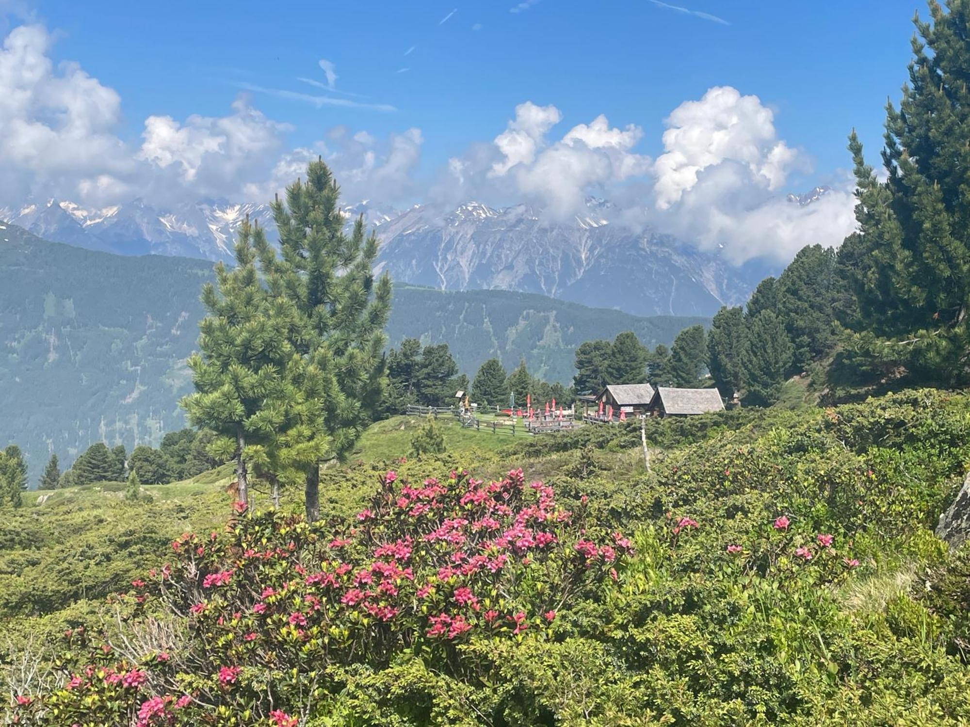 Вилла Tobadillerhof Веннс Экстерьер фото